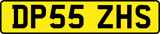 DP55ZHS