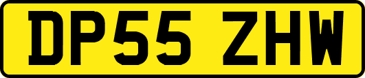 DP55ZHW