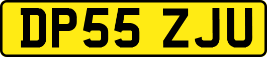 DP55ZJU