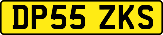DP55ZKS