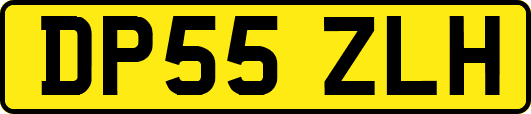 DP55ZLH
