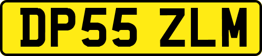 DP55ZLM