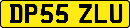 DP55ZLU