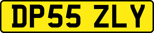 DP55ZLY