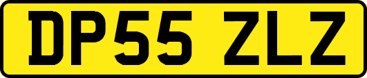 DP55ZLZ