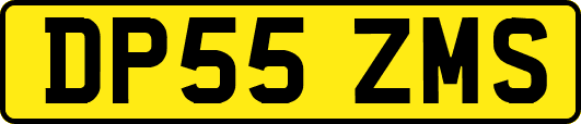 DP55ZMS