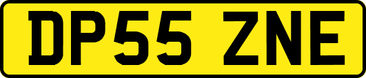 DP55ZNE