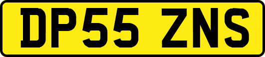 DP55ZNS