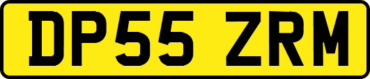 DP55ZRM