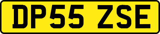 DP55ZSE