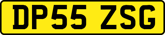 DP55ZSG