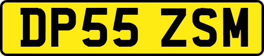 DP55ZSM