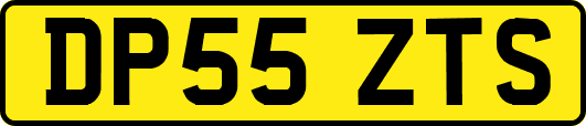 DP55ZTS