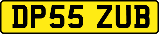 DP55ZUB