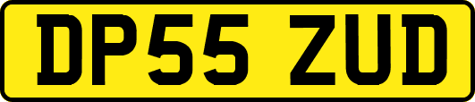 DP55ZUD
