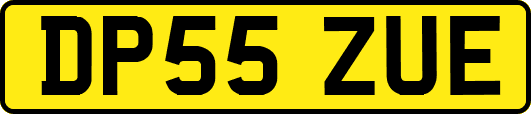 DP55ZUE