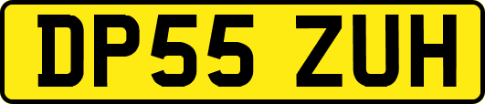 DP55ZUH