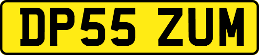 DP55ZUM