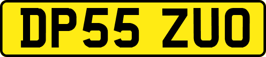 DP55ZUO
