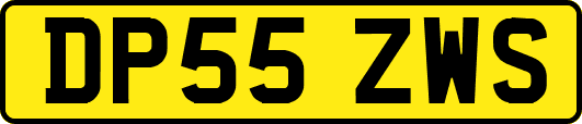 DP55ZWS