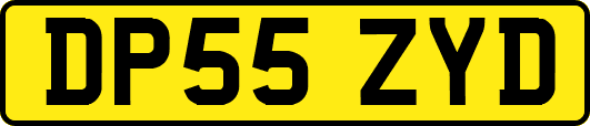 DP55ZYD