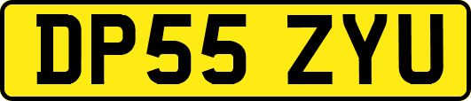 DP55ZYU