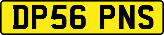 DP56PNS
