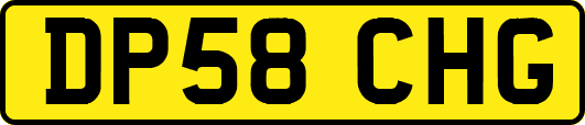 DP58CHG