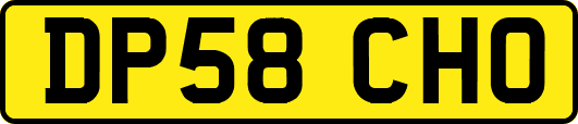 DP58CHO