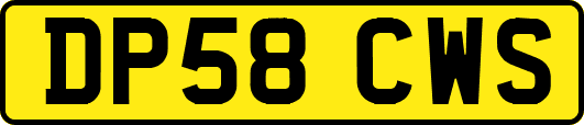 DP58CWS