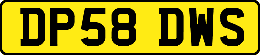 DP58DWS