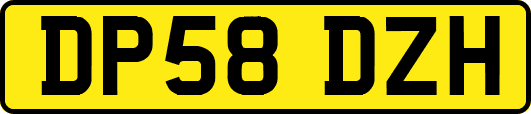 DP58DZH