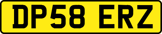 DP58ERZ