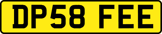 DP58FEE