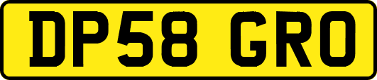 DP58GRO