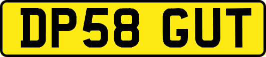 DP58GUT