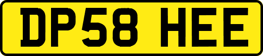 DP58HEE