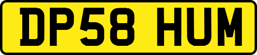 DP58HUM