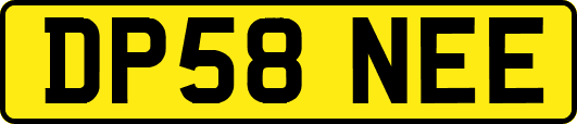 DP58NEE