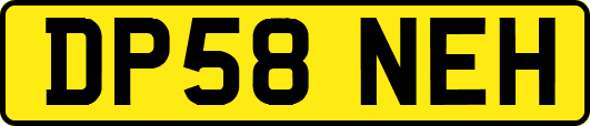 DP58NEH