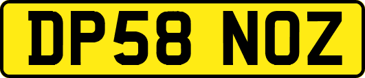 DP58NOZ