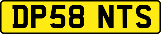 DP58NTS