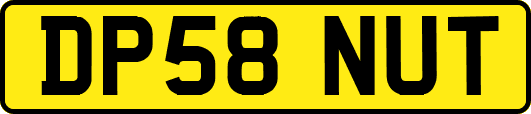 DP58NUT