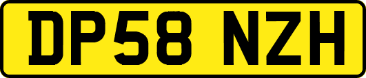DP58NZH