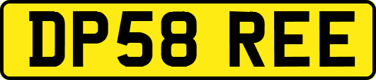 DP58REE