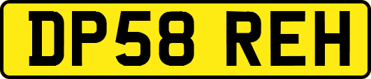 DP58REH