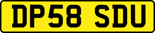 DP58SDU