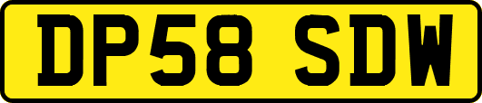 DP58SDW