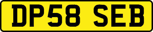 DP58SEB