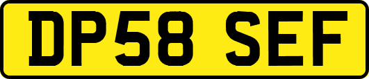 DP58SEF